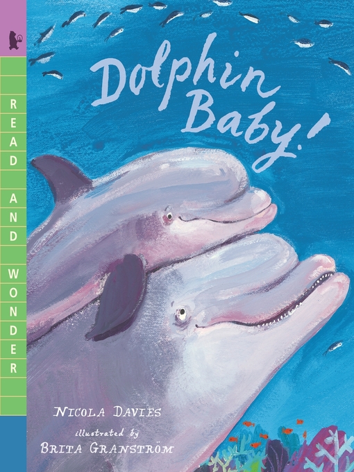 Title details for Dolphin Baby! by Nicola Davies - Wait list